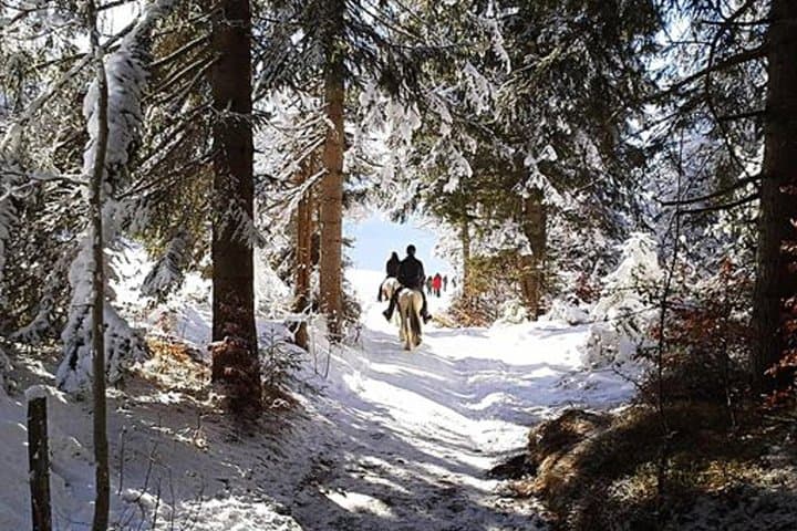 Saddle the Shore: Horseback Riding Around Lake Bled photo 5