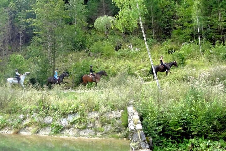 Saddle the Shore: Horseback Riding Around Lake Bled photo 4