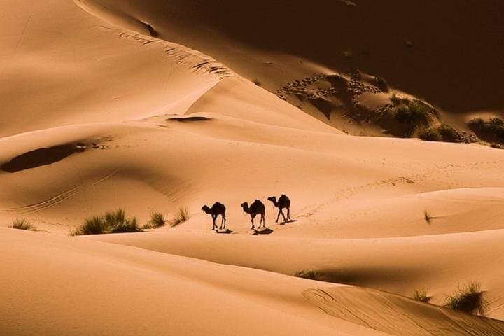 Bedouin BBQ Desert 4x4 from Hurghada: Sunset Dinner & Cultural Visit photo 2