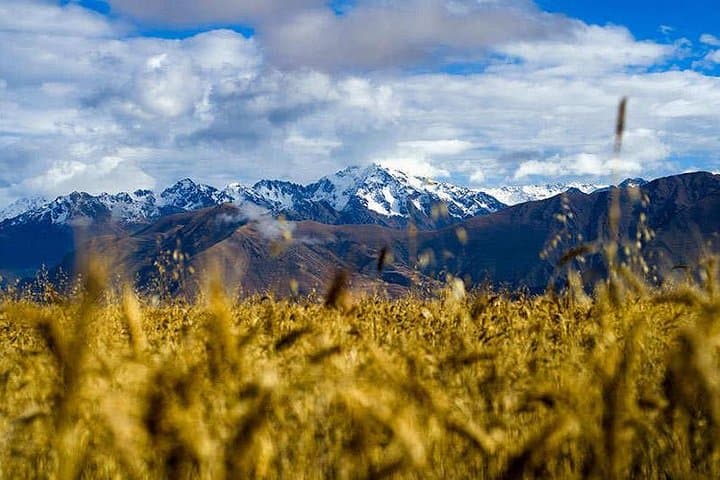 Moray, Maras & Chinchero: Private Sacred Valley Day Trip from Cusco photo 5