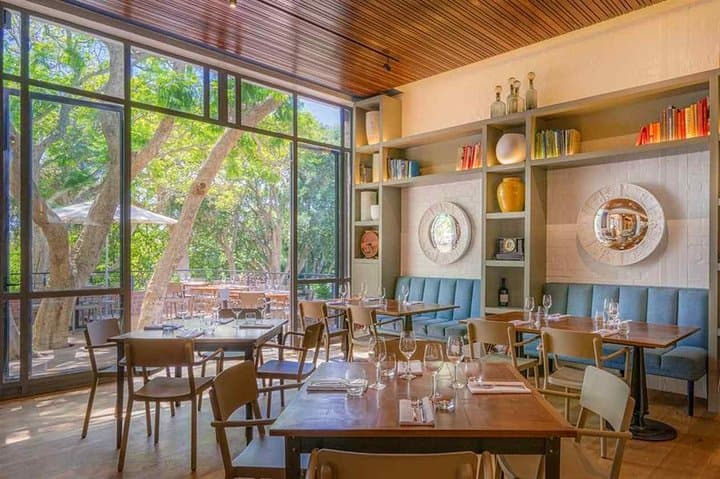 Private Cape Winelands Half-Day Tour — Constantia or Stellenbosch Wine Tastings from Cape Town photo 3