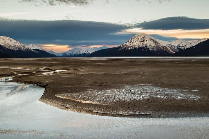 Turnagain Arm Half-Day Tour from Anchorage — Seward Highway, Beluga Point & Alaska Wildlife Conservation Center photo 4