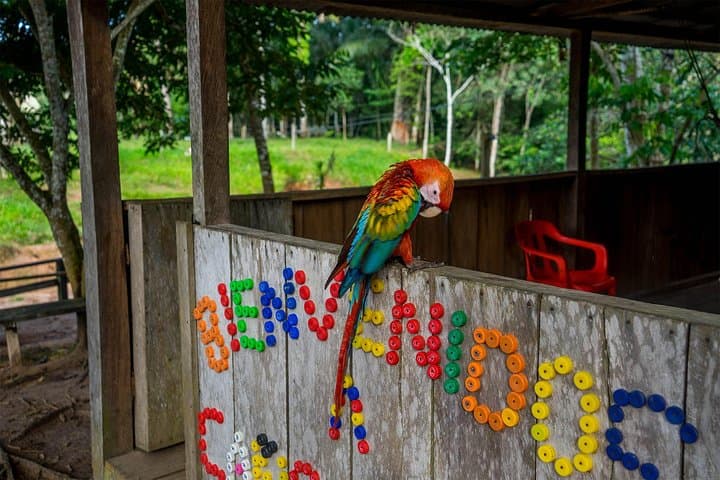 4-Day Amazon Jungle Adventure from Bogotá to Caño Cristales photo 6