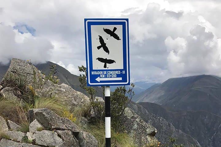 Cusco Condor Tour: See Andean Condors Over Apurimac Canyon (1-Day) photo 3