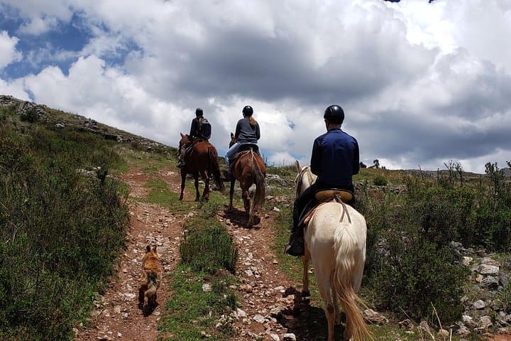 Half-Day Horseback Ride Through Sacsayhuamán: Peruvian Paso Experience photo 4