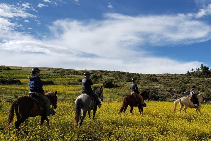 Cusco Peruvian Paso Horseback Ride to the Temple of the Moon photo 3