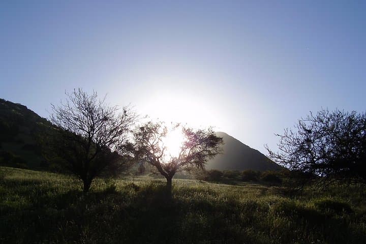 Santiago Half-Day Panoramic Hike to Manquehuito — Easy, Carbon-Neutral Escape photo 5