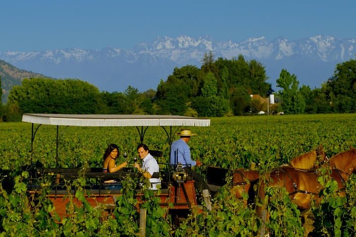 Self-Drive Wine Escape: 4-Day Colchagua Valley Road Trip photo 5
