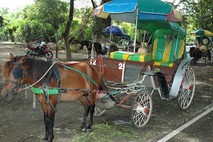 Wiang Kum Kam & Wat Chiang Man Ancient City Tour from Chiang Mai photo 3