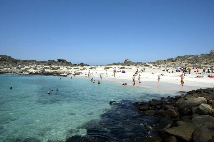 Isla Damas & Humboldt Penguin Reserve: Full-Day Boat Tour from La Serena photo 2