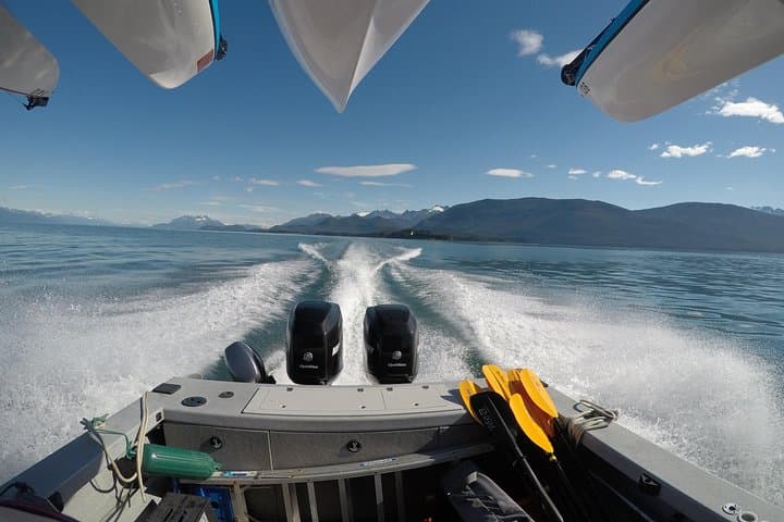 Paddle with Whales: Kayak Adventure in Juneau’s Inside Passage photo 4