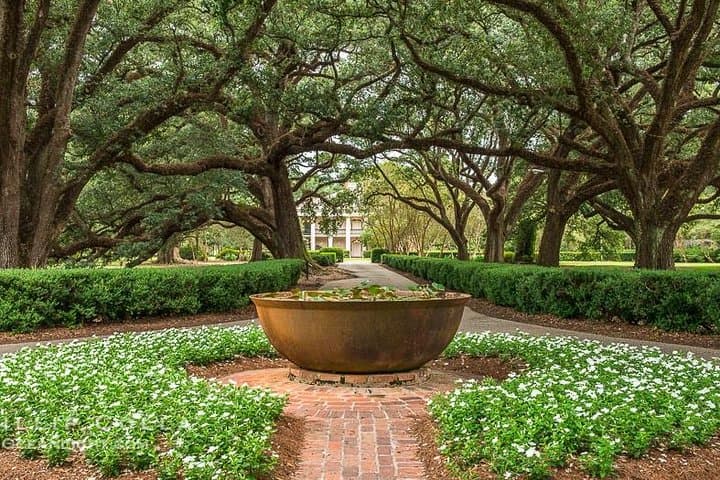 Oak Alley Plantation and Airboat Swamp Tour — From New Orleans to the Bayou photo 3