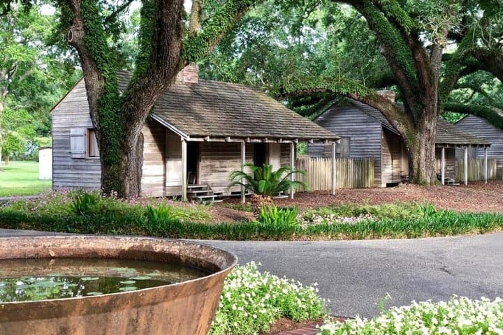Oak Alley Plantation and Airboat Swamp Tour — From New Orleans to the Bayou photo 2