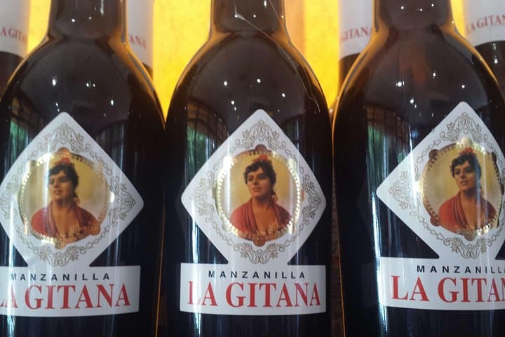 Day Trip to Sanlúcar de Barrameda: Wine Tasting, History & Optional Beach Horse Riding photo 3