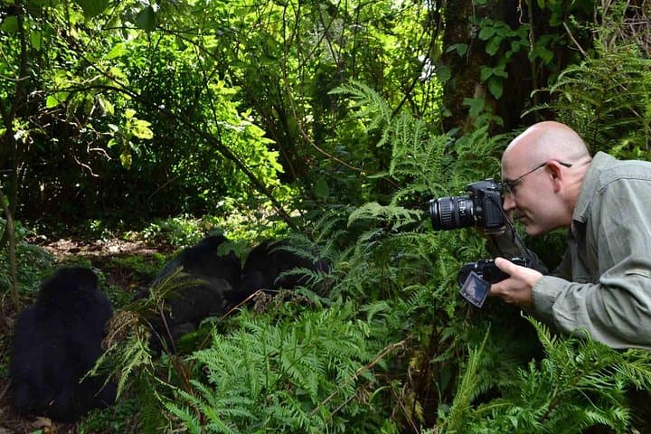 6-Day Uganda Safari: Gorillas, Chimps & Murchison Falls Big Five Experience photo 5
