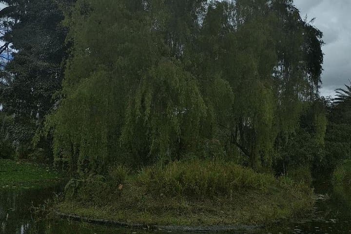 Explore Bogotá's José Celestino Mutis Botanical Garden — 4-Hour Private Tour photo 6