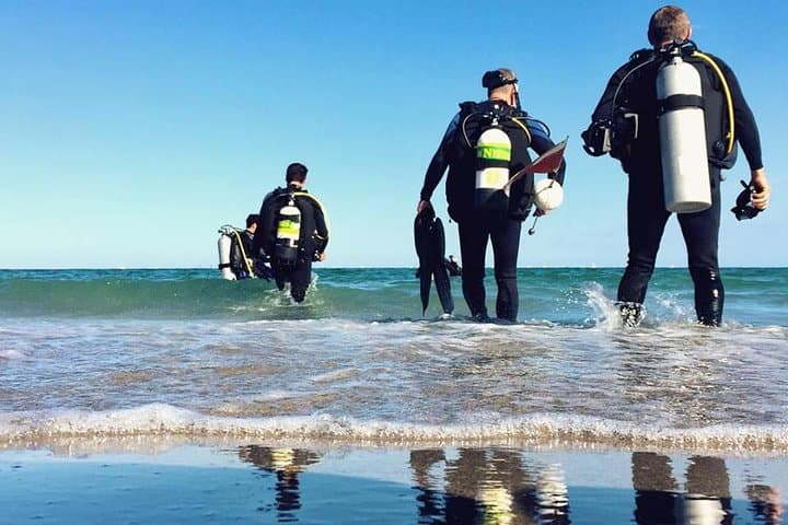 Sea, Sand and Scuba: Beach and Diving Day Trip from Sesimbra