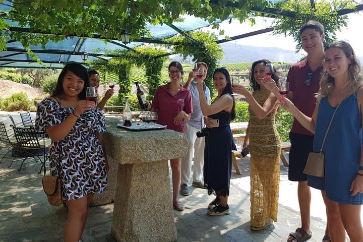 Douro Valley Wine Tour: 4 Vineyard Visits and Lunch from Porto