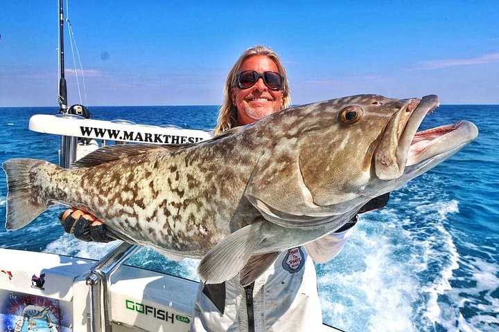 Miami Big Game Deep-Sea Fishing with Captain Mark the Shark photo 5