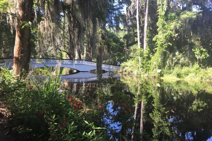 Exploring Magnolia Plantation: A Historic Garden Tour with Wildlife on the Ashley River photo 4