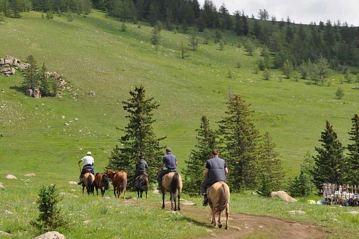 2-Day Terelj National Park and Chinggis Khan Statue Tour from Ulaanbaatar photo 2