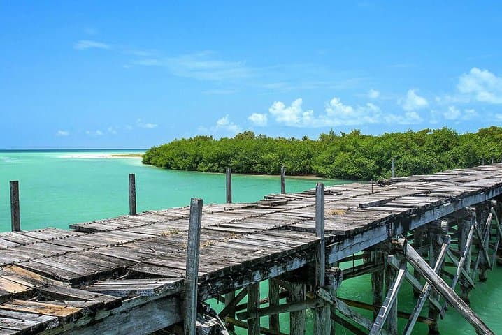 Sian Ka'an Biosphere Reserve Boat & Snorkel Safari from Tulum photo 6