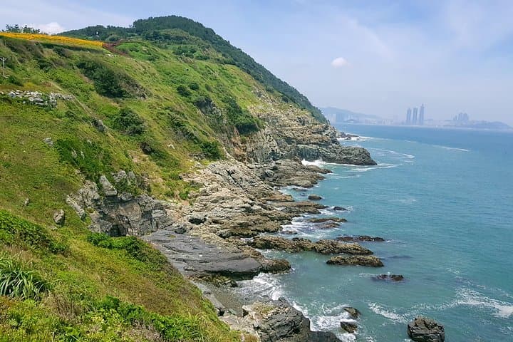 Full-Day Busan Coastal Highlights: Haedong Yonggungsa, Oryukdo Skywalk & Haeundae photo 3