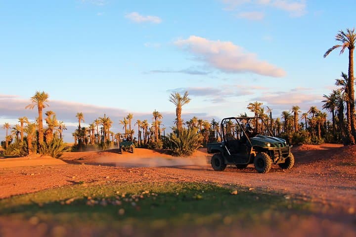 Agafay Desert Buggy Tour from Marrakech — Palm Groves, Berber Tea & Atlas Views photo 4