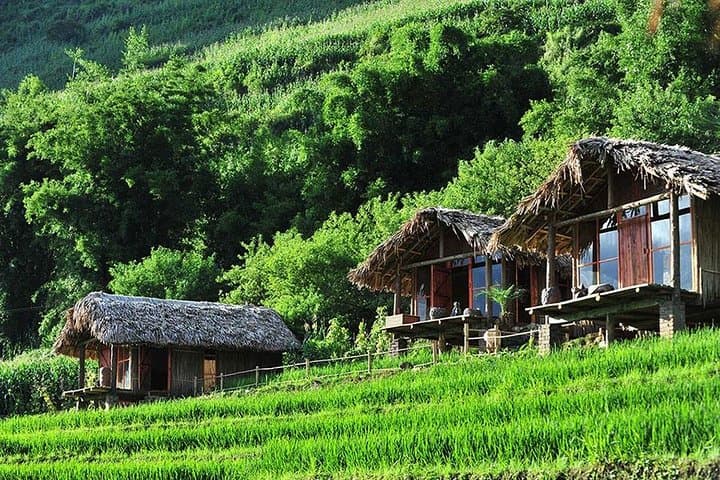 Sapa 2-Day Trek: Overnight Bungalow Homestay from Hanoi photo 4