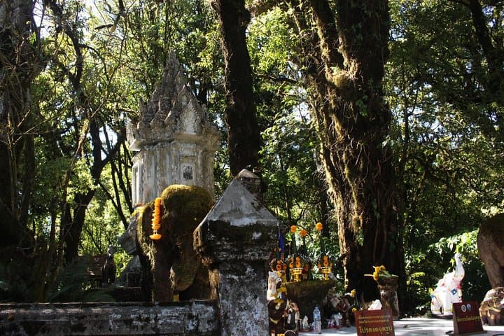Doi Inthanon Day Trip from Chiang Mai: Summit, Stupas & Waterfalls photo 5