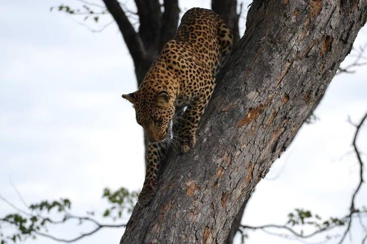3-Day Mount Elgon & Sipi Falls Hiking Safari from Kampala photo 3