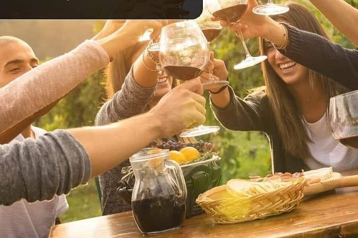 Franschhoek Wine Tour From Cape Town: Stellenbosch, Paarl & Franschhoek Tasting Day Trip