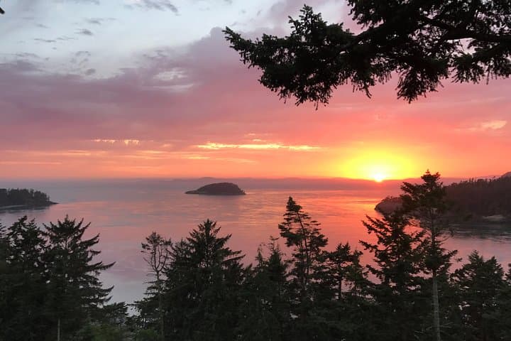 Sunset Canopy Climb on Lopez Island: Experience Washington’s Ancient Giants from Above photo 2