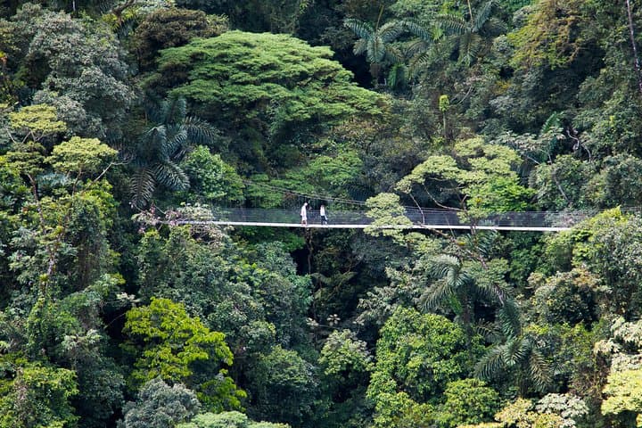 Arenal Hanging Bridges Nature Walk — Mistico Park Rainforest & Volcano Views photo 4