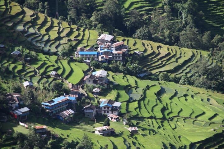 Annapurna Mini Trek: Sunrise Views from Dhampus to Sarangkot photo 5