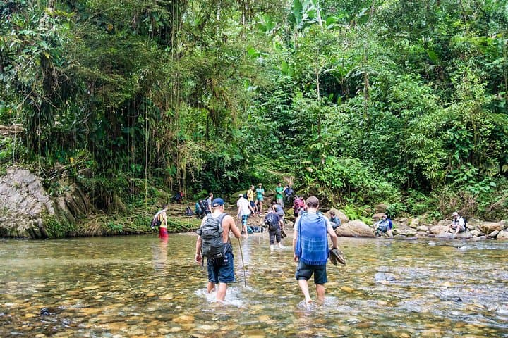 Ciudad Perdida Trek: 5-Day Jungle Hike from Santa Marta photo 3