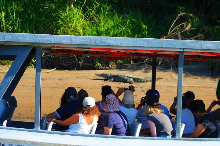 Palo Verde RiverRide: Tempisque River Boat Tour from Guanacaste photo 5