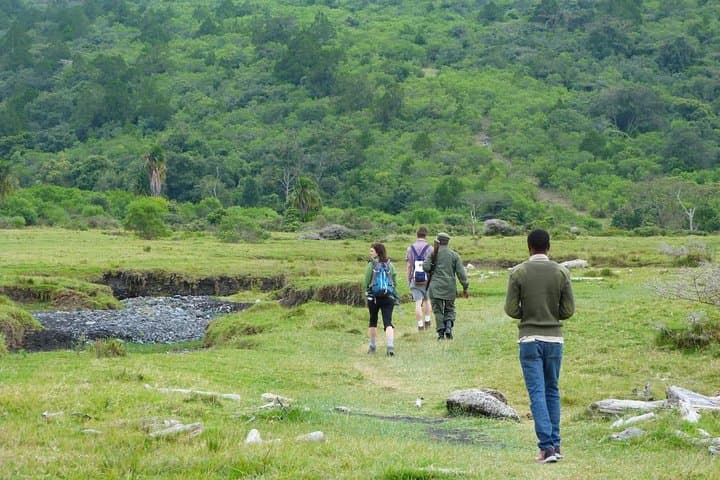 Arusha National Park Day Trip: Momella Lakes, Ranger Walk & Wildlife