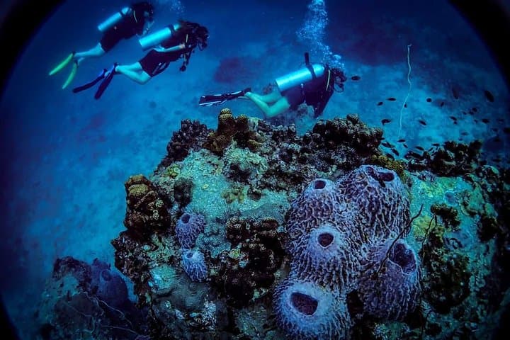 Koh Tao Open Water Course — 3-Day Scuba Certification on Thailand’s Best Reefs photo 4