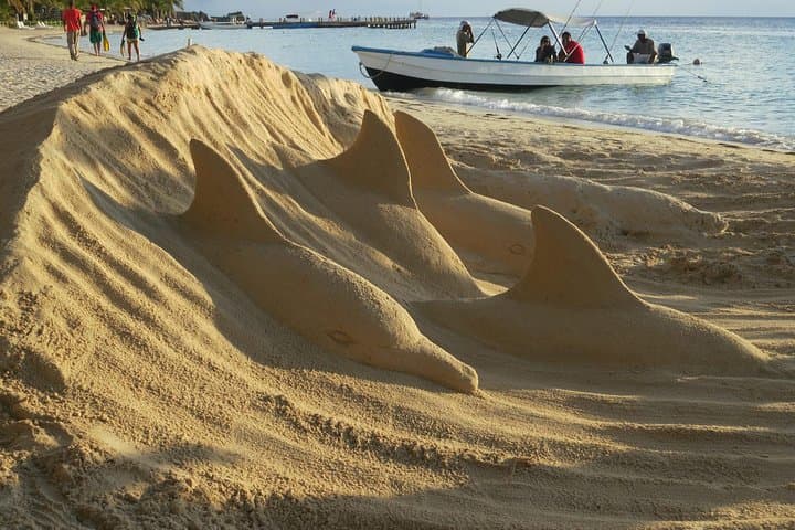 Roatán Zipline, Wildlife Park & Beach — Full-Day Jam-Packed Excursion photo 5