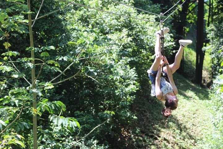 Roatán Zipline, Wildlife Park & Beach — Full-Day Jam-Packed Excursion photo 3