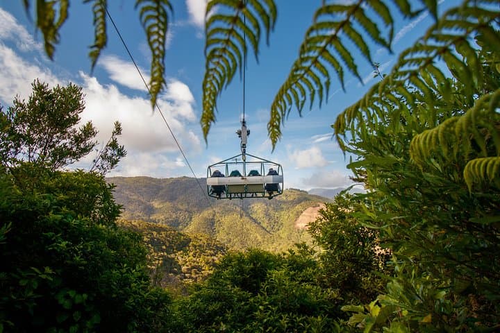 Skywire at Cable Bay: Nelson's 12-Minute Flying Fox Adventure photo 5