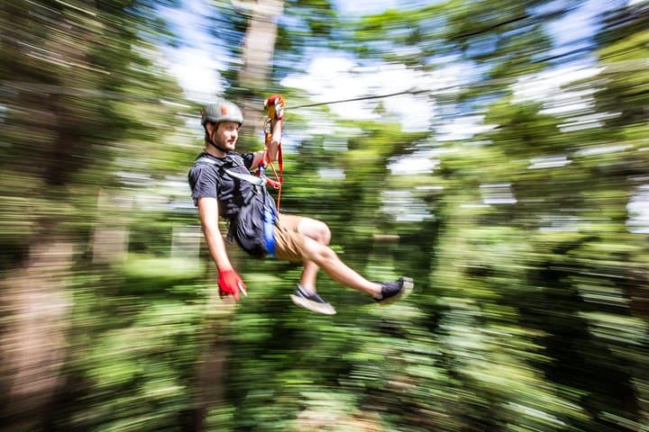 Sunshine Coast TreeTop Challenge at The Big Pineapple: Australia's Highest Ziplines
