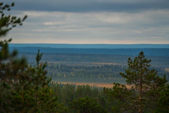 Arctic Wilderness Photography Expedition — Rovaniemi Half-Day Summer & Autumn photo 5