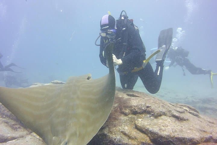 Tenerife Two‑Dive Package: Small‑Group Guided Scuba with Refreshments photo 5