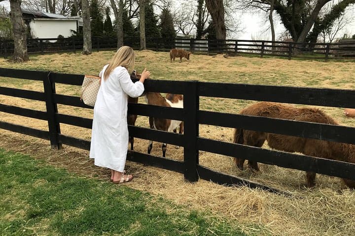 Private Virginia Wine Tasting Day Tour from Washington DC photo 6