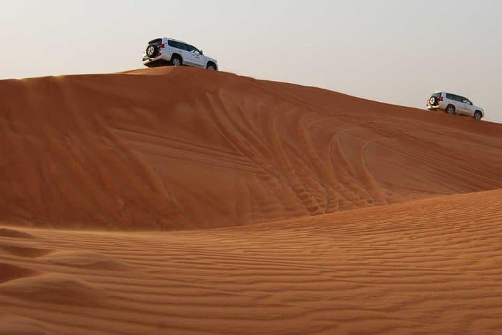 Dubai Dune Buggy Adventure: Morning & Evening Private Desert Tours photo 4