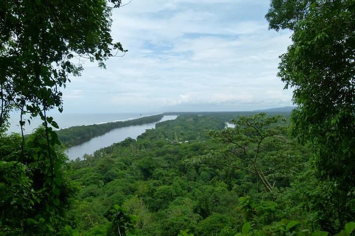 Best of Tortuguero: Sunrise Canoe, Rainforest Hike & Night Turtle Tour