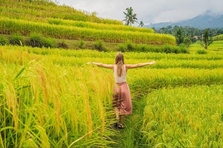 Customizable Bali 5-Day Transport Package: Private Van Tours from Kuta to Ubud photo 3