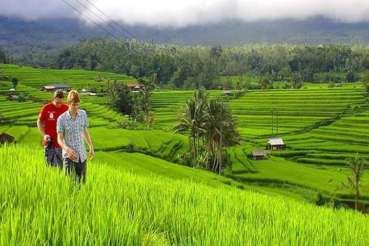 Customizable Bali 5-Day Transport Package: Private Van Tours from Kuta to Ubud photo 2